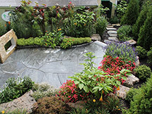 Amy Dutton Home Display Garden
